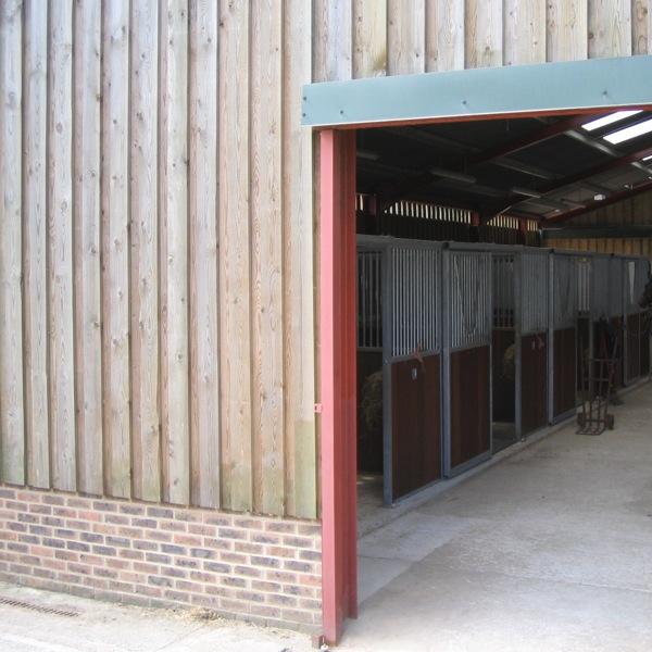 More images from Equestrian