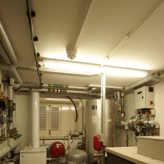 More images from 2246