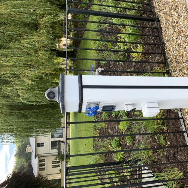 More images from 2524